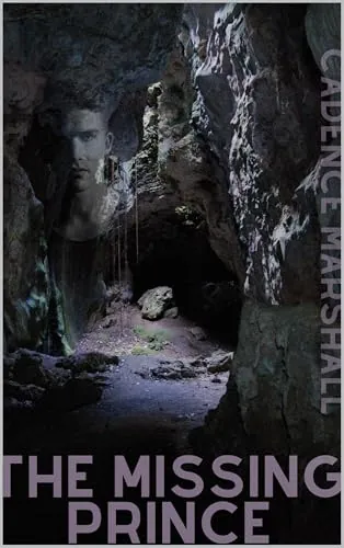 Cover of The Missing Prince